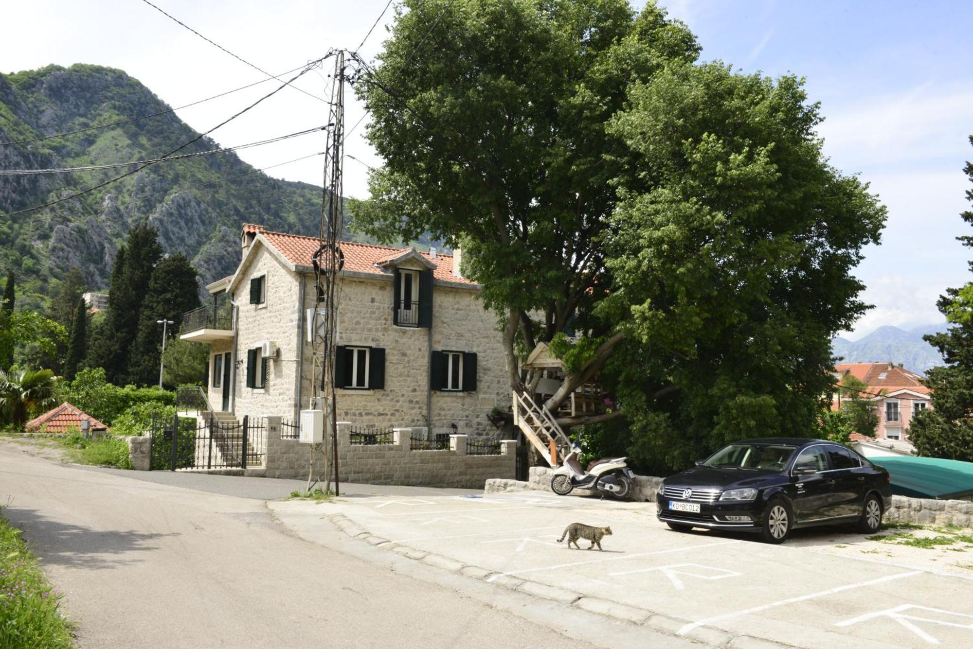 Villa Andrea Apartments With Parking Kotor Exterior photo